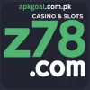 Z78 Game