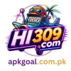 HI309 Game