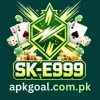 SKE999 Game