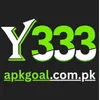 Y333 Game